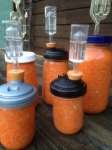 Fermented Ginger Carrots