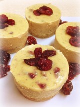 Orange Cranberry Pleasecakes